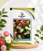 Daisy Bellis Monstrosa Double Mix - Image 1